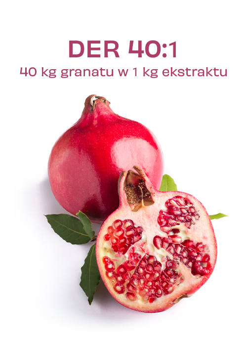 GRANGO® MEN - obrazek 6